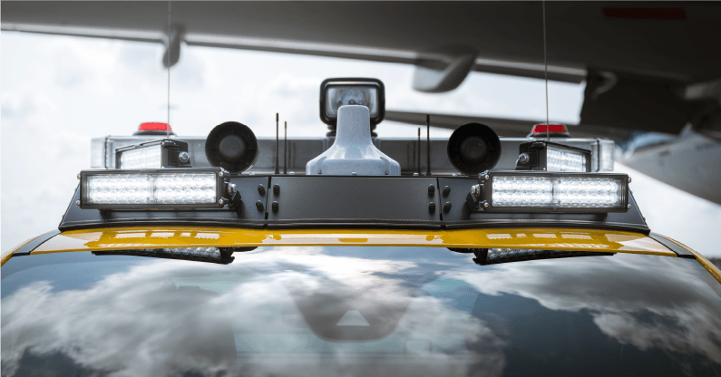 De vogelverschrikker van Schiphol